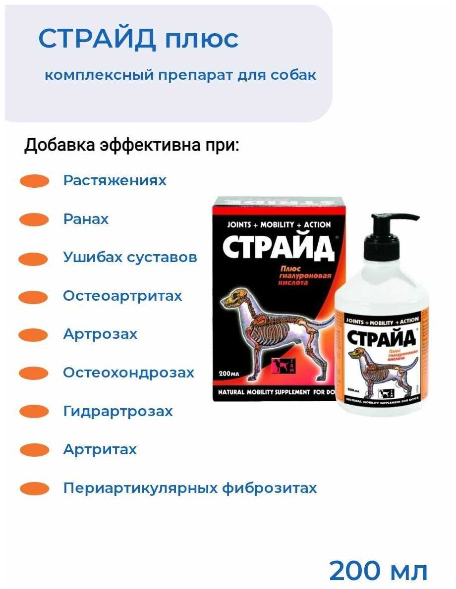 Если проблемы с суставами у собаки – препарат страйд плюс |