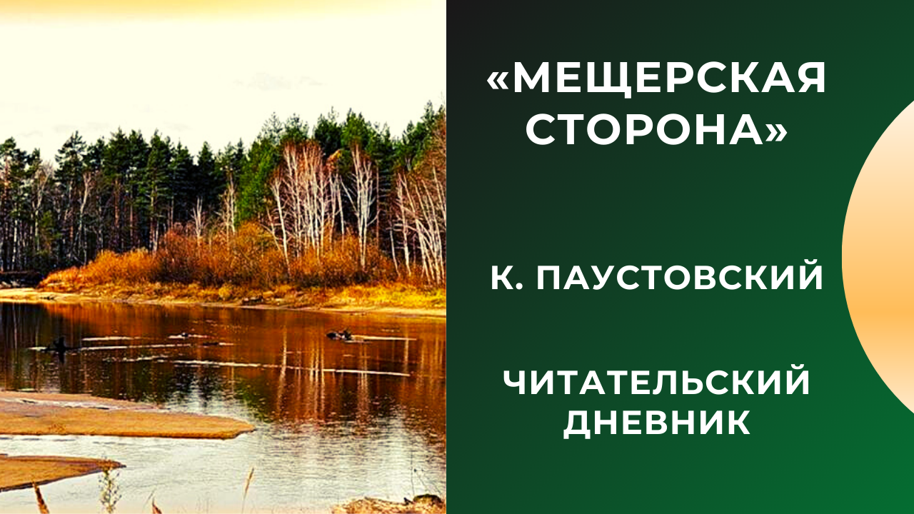 больше о Великом поясе хвойных лесов в России, который находится между Владимиром и Рязанью Пояс хвойных лесов