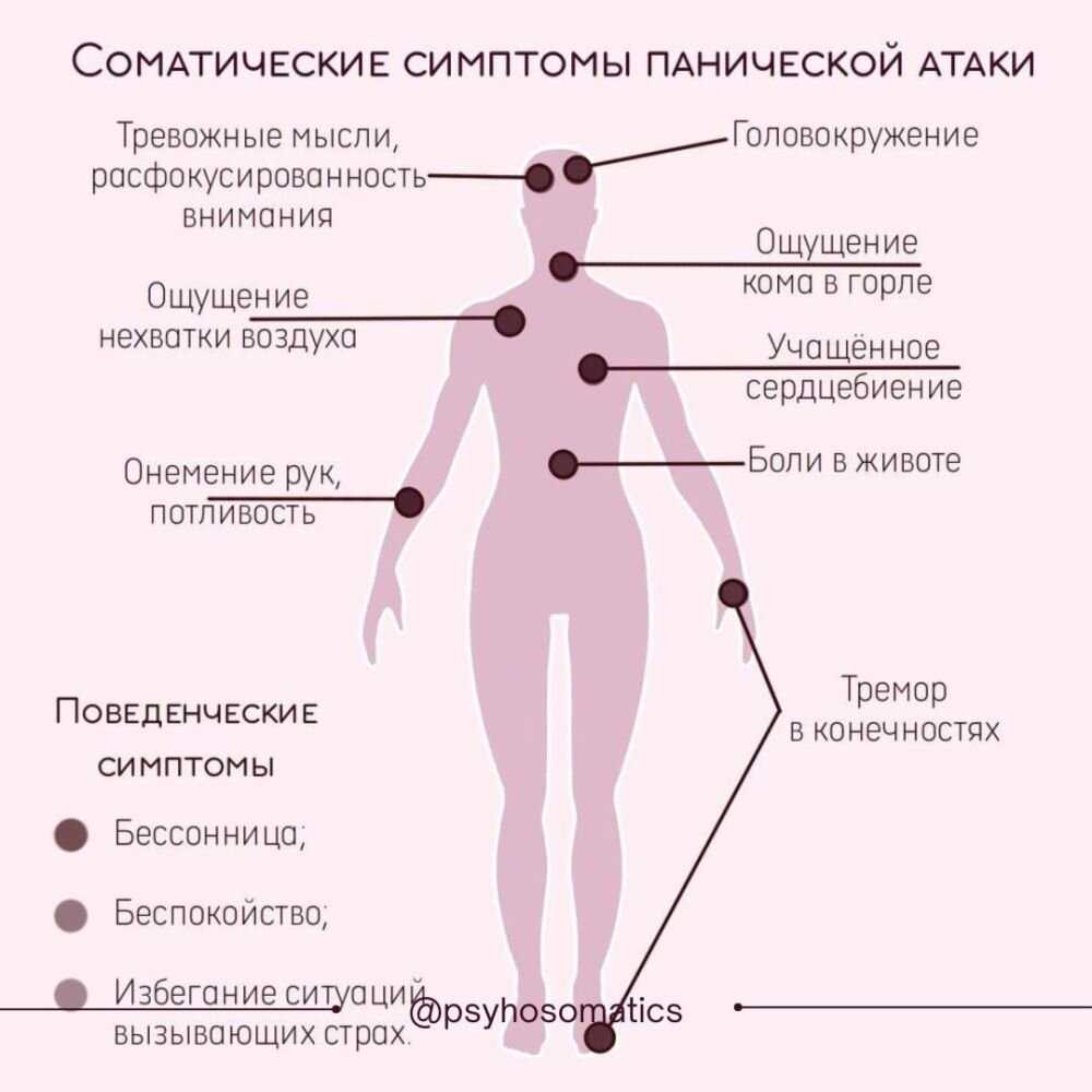Собака икает: причины, меры профилактики | блог ветклиники "беланта"