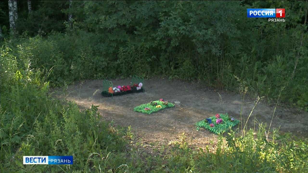 Можно ли хоронить собаку во дворе дома или в огороде: как поступить правильно