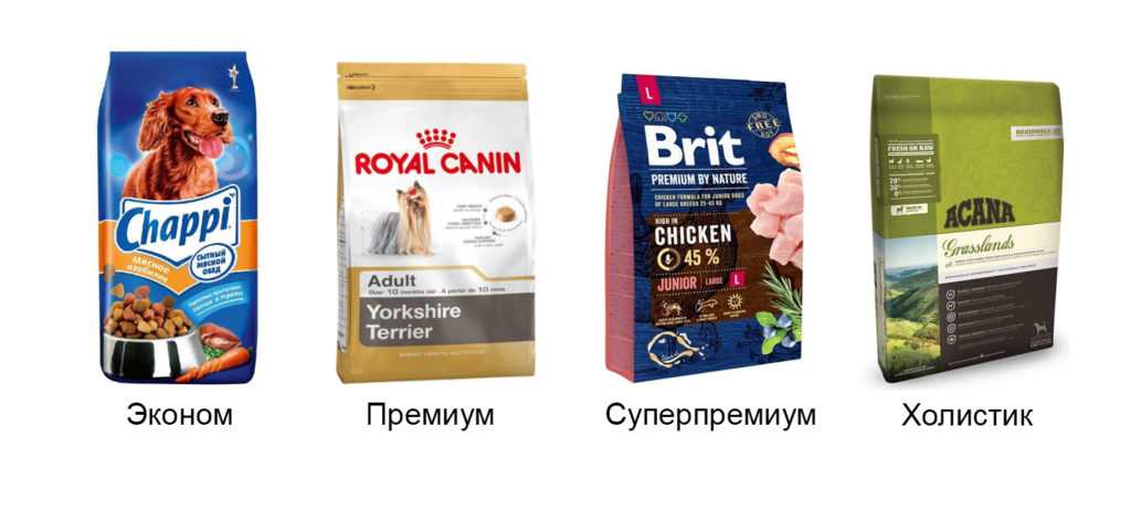 Подробный обзор ирландского собачьего корма happy dog: состав и нормы кормления