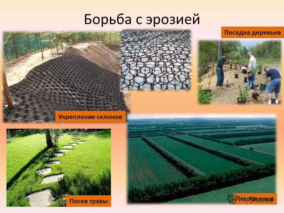 Виды, причины, последствия и борьба с эрозией почвы