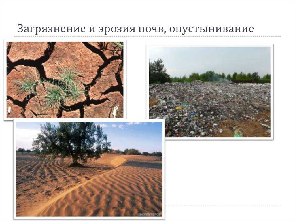 Эрозия почв - причины возникновения, виды и классификация, последствия