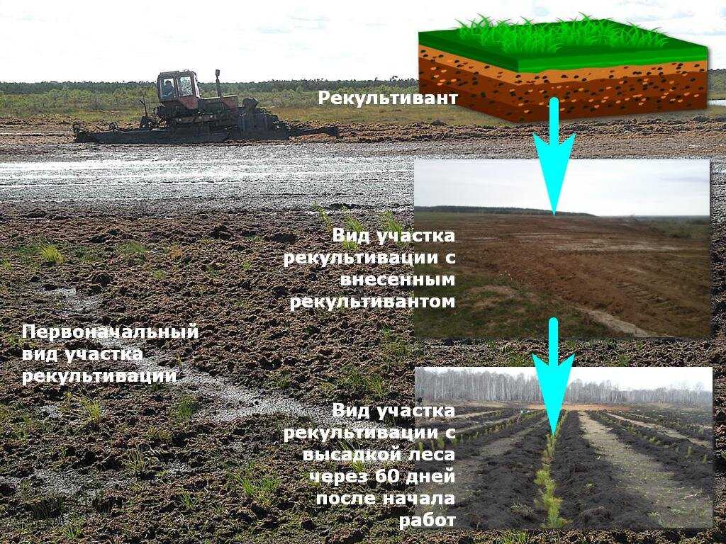 Какие меры по охране почв необходимо принимать чтобы сохранить почвенные ресурсы кратко