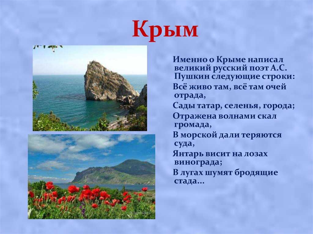 Какие птицы крыма наиболее часто встречаются в природе