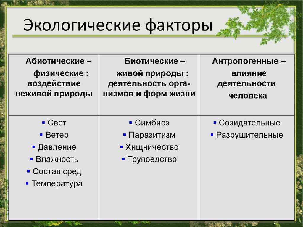 Антропогенные факторы окружающей среды