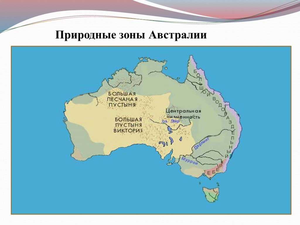 Жестколистные леса