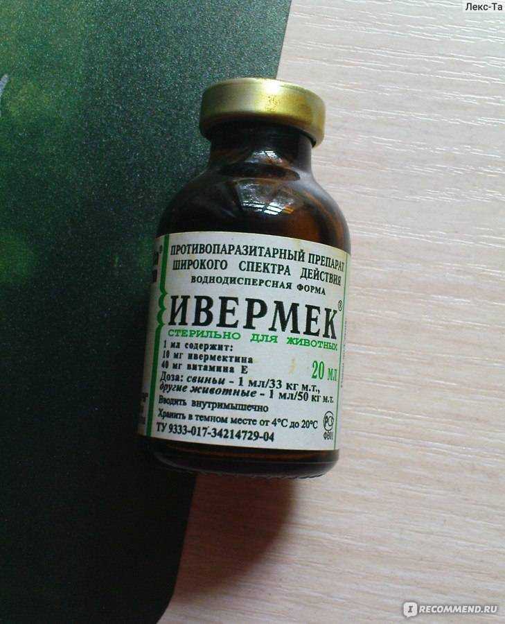 ❶ подкожный клещ у собаки: симптомы, как выглядит, методы лечения