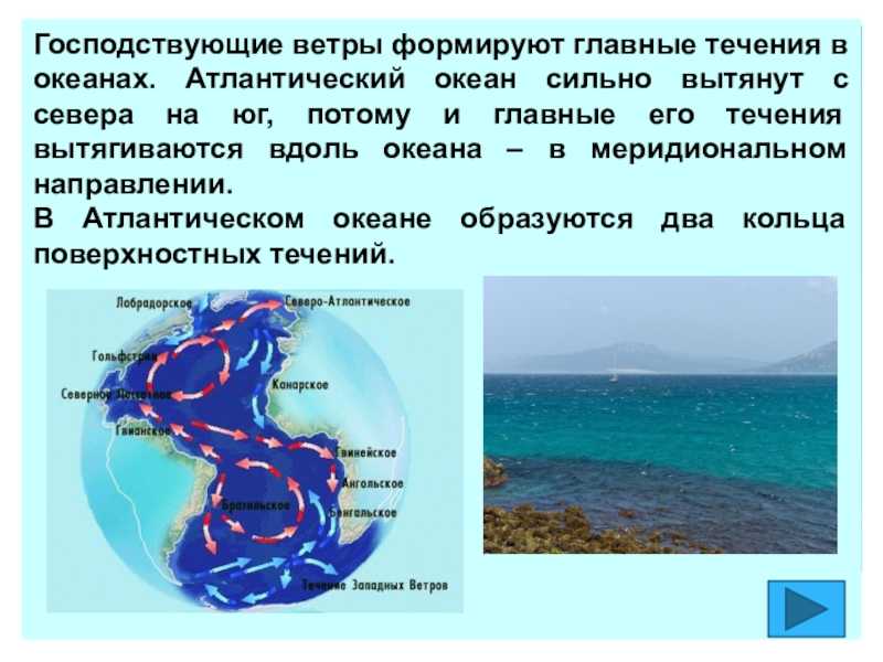 Течение гольфстрим - определение, характеристика,  геоположение