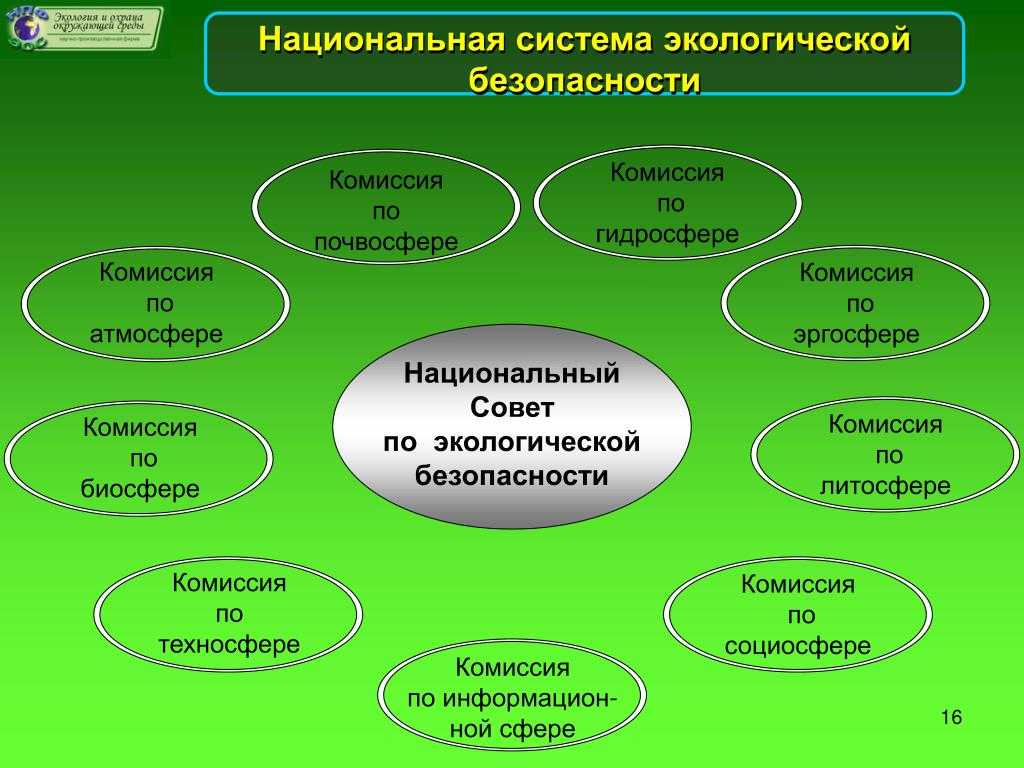 Проект