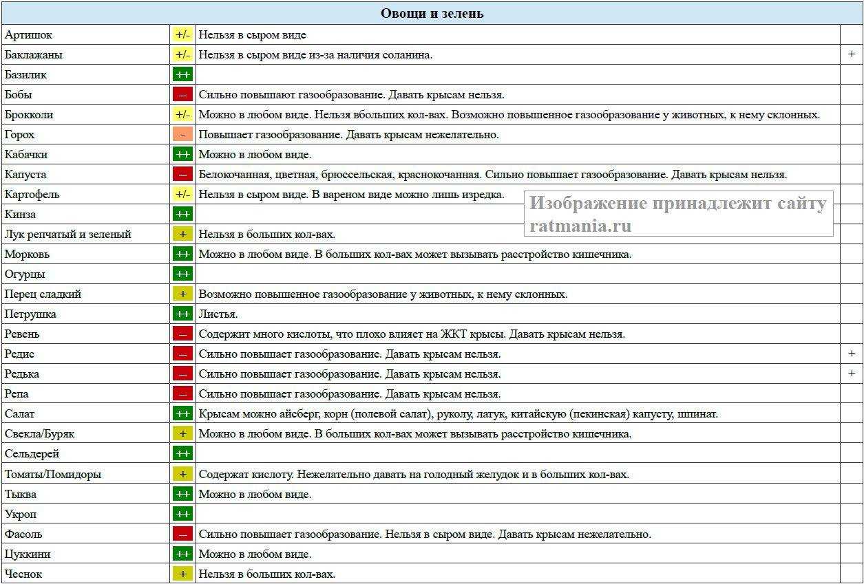 Декоративные крысы уход и содержание
