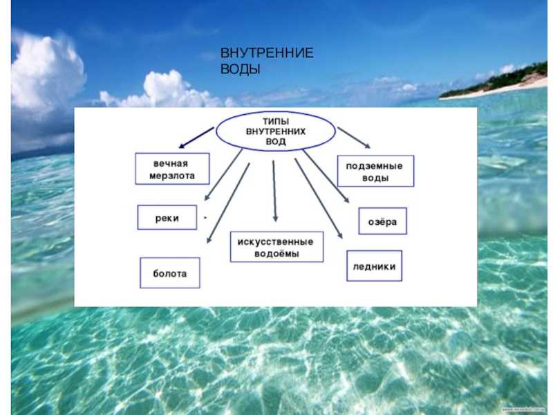Внутренние воды – что относится, определение, виды кратко (8 класс, география)