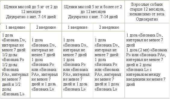 Пирантел для собак: дозировка, инструкция