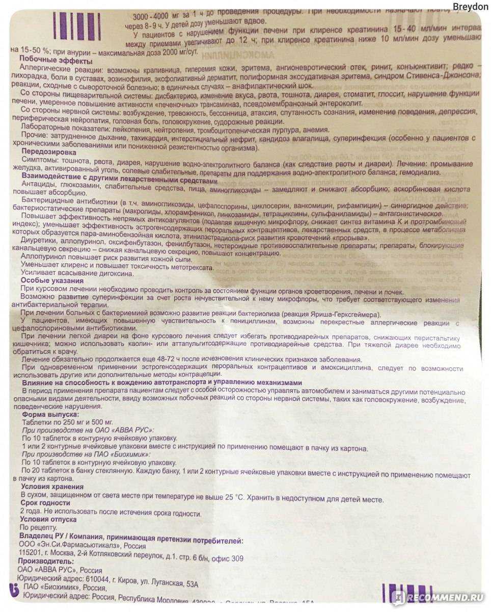 Амоксициллин для собак: можно ли давать, дозировка, инструкция по применению