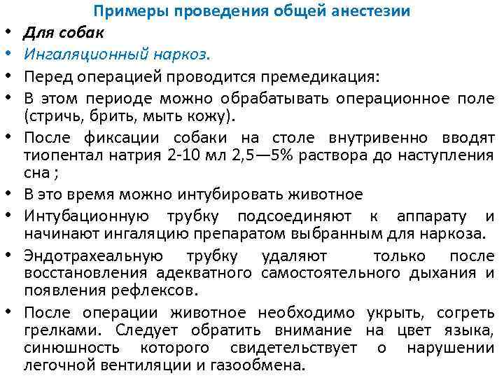 Операции под наркозом у собак: какие проводят, как чувствует себя собака после