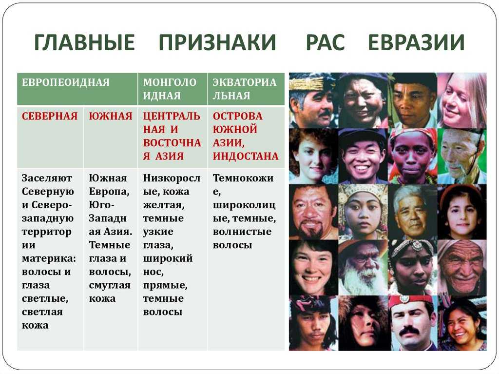 Население южной америки - развитие и особенности размещения