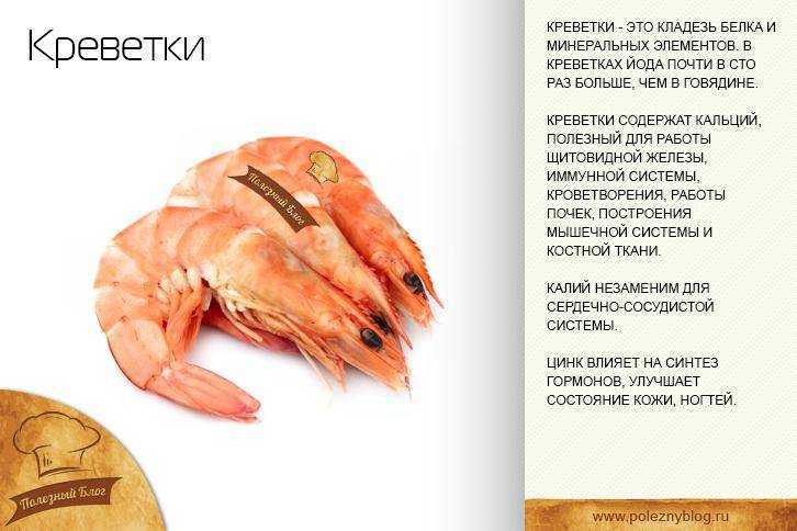 все про креветку Происхождение креветки, где она обитает Как выглядит и ее виды Польза и вред, особенности характера Естественные враги и популяция Интересные факты, доклад и сообщение