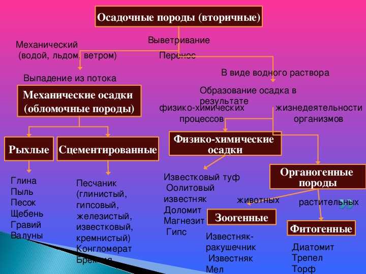 Осадочные горные породы