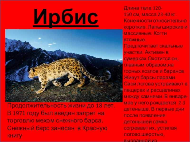 Какие есть растения занесённые в красную книгу?