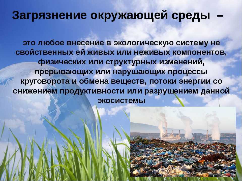 Городские экологические проблемы и пути их решения