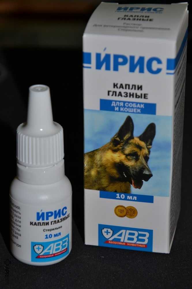 Чем промыть глаза котенку: алгоритм действий в домашних условиях, препараты