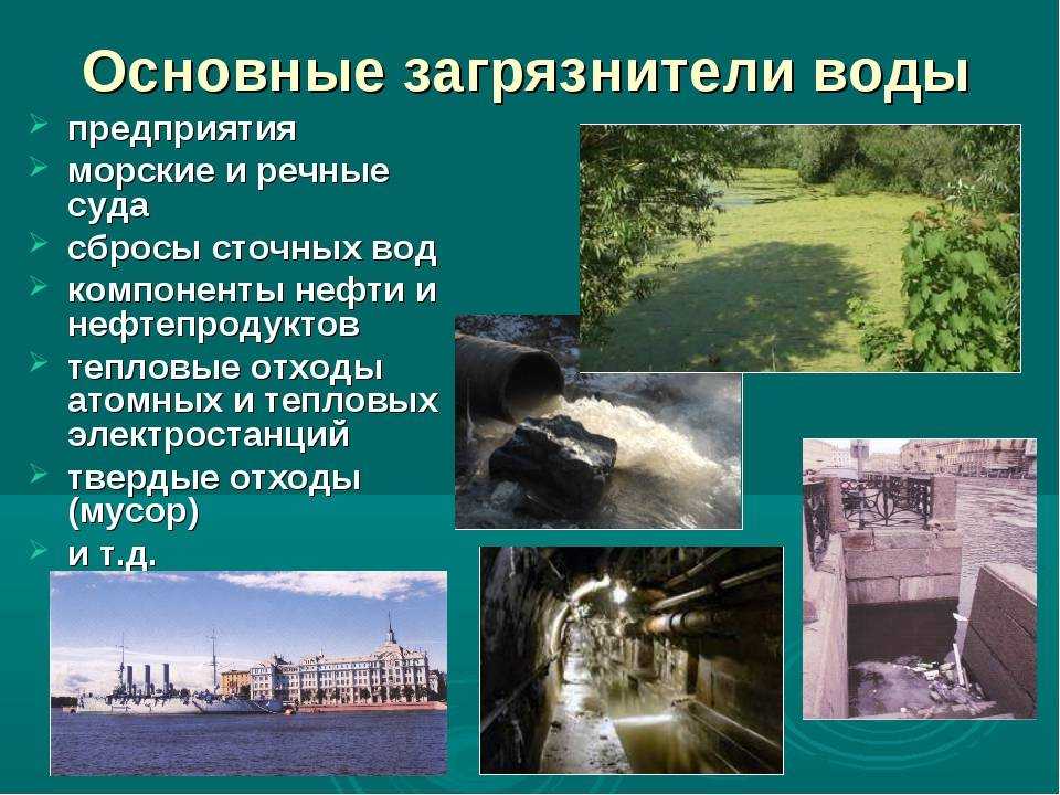 Причины и последствия загрязнения водоемов