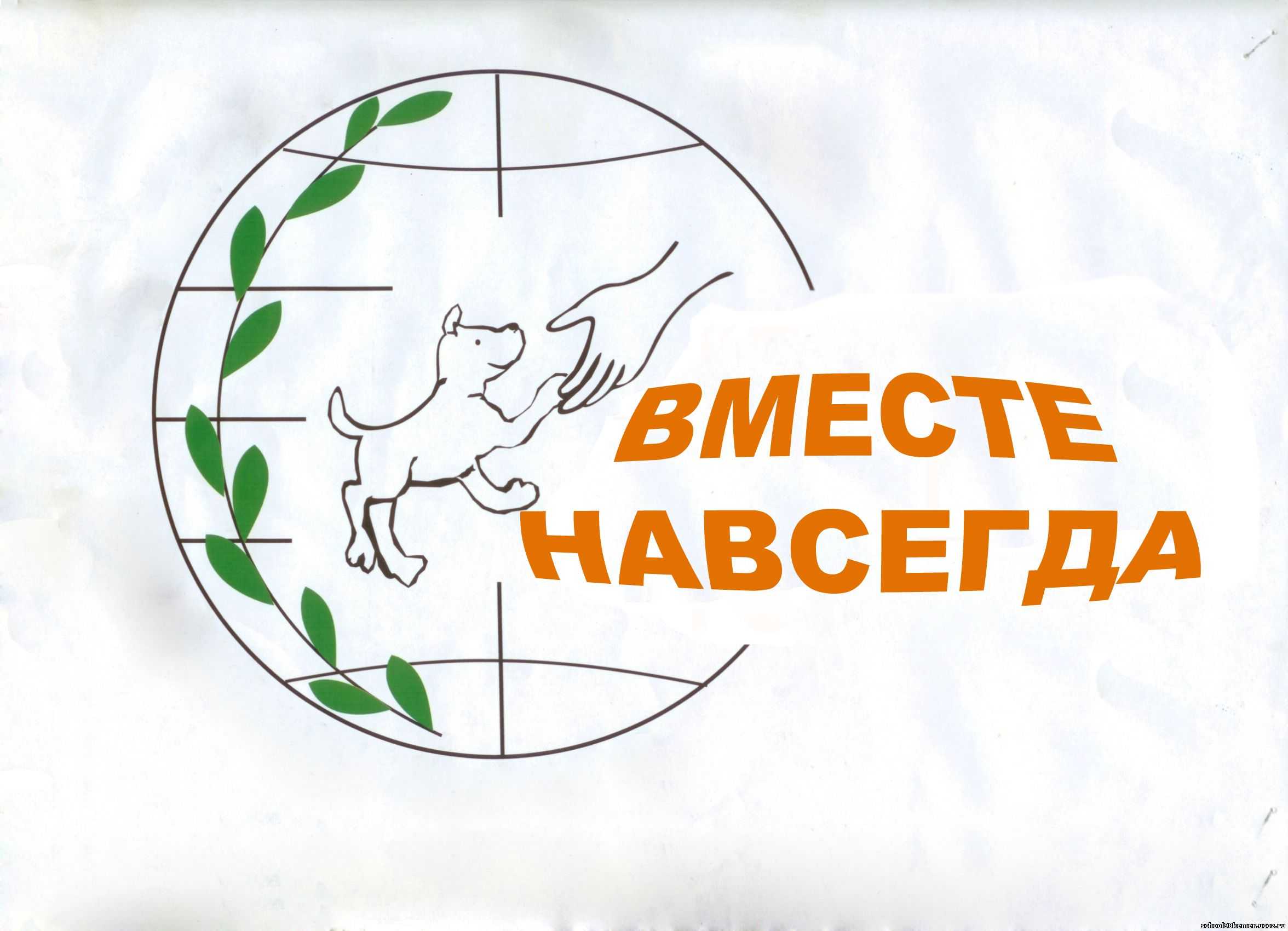 Алтайский горный баран краткое описание