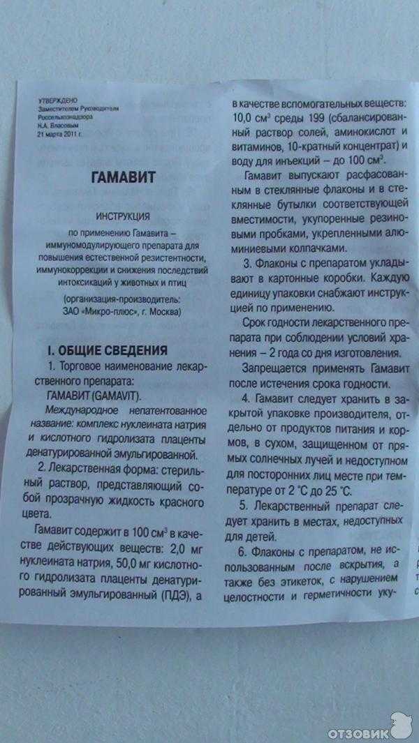 Гамавит для кошек и собак: дозировка и инструкция по применению