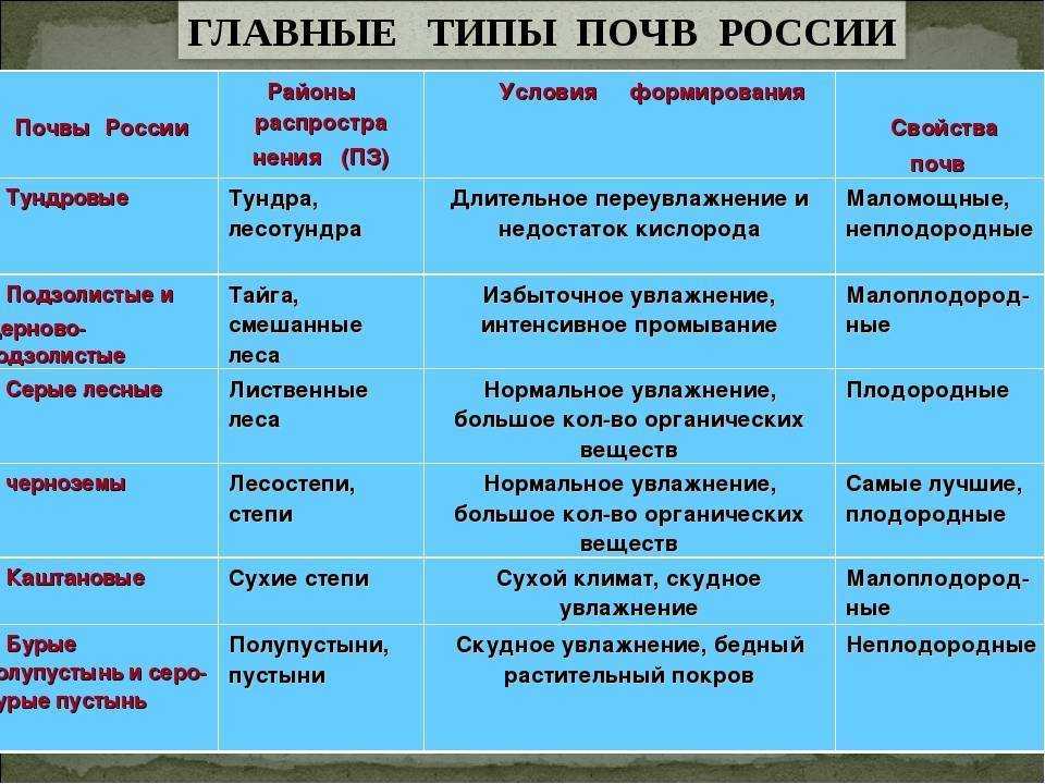 Типы лесных почв - аналитика лесной промышленности