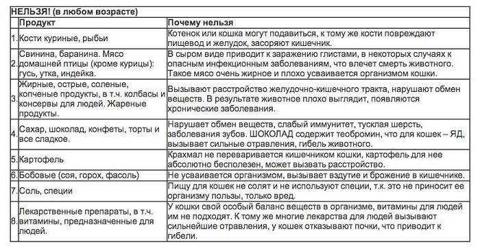 Чем кормить котёнка в 2 месяца?