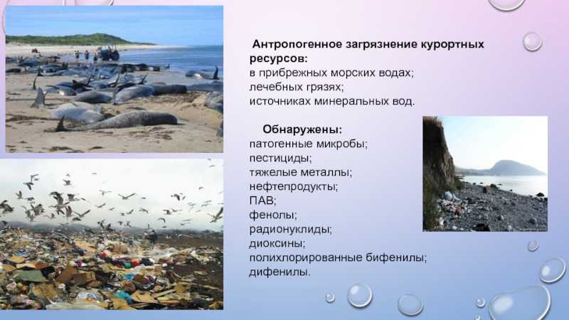 Экологические проблемы крыма - реферат по экологии