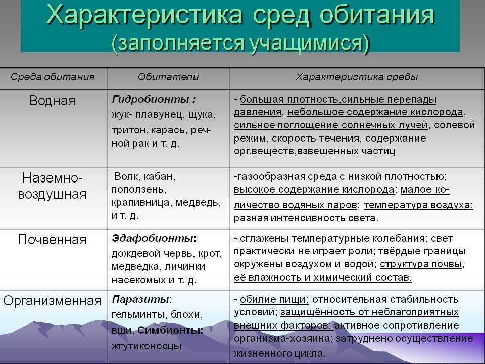 Летучая мышь подковонос. подковонос большой, фото и описание. глава x наливки. хвостово между большой полянкой и большой якиманкой