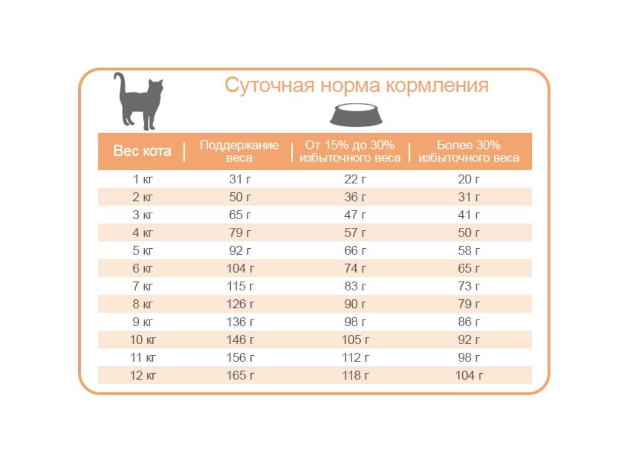 Какое количество сухих кормов является нормой для кошки в сутки: сводные таблицы