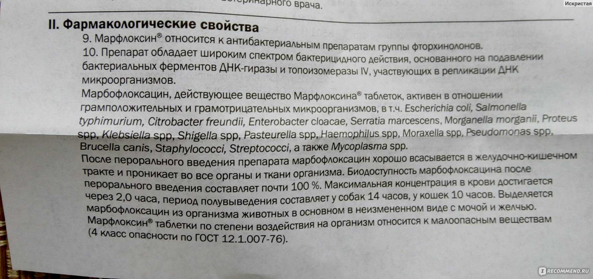 Левомеколь в ветеринарии. левомеколь для собак показания и способы применения