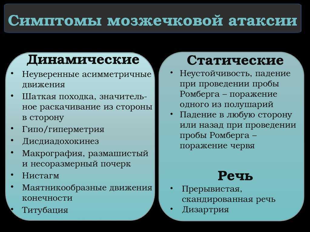 Все об атаксии у кошки: подробное описание состояния, принципы лечения
