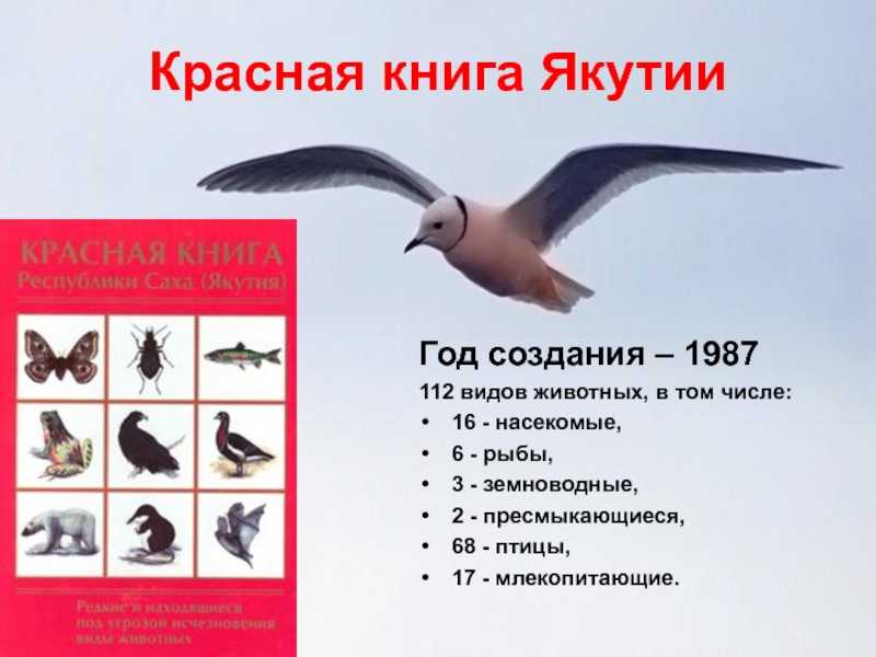 Красная книга республики саха (якутии)