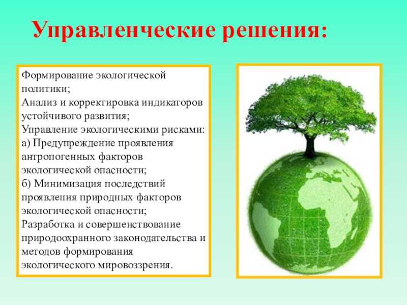 все об экологической безопасности окружающей среды Классы экологической безопасности Правила и нормы Общая экологическая безопасность