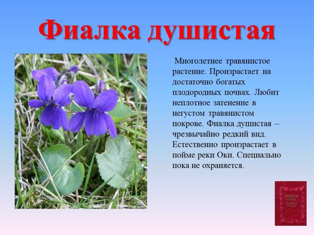 Охота