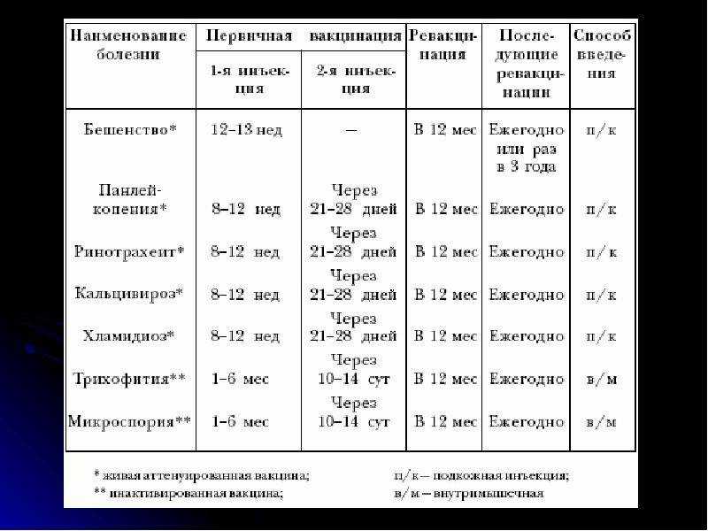 Щенок после прививки: что делать и как правильно