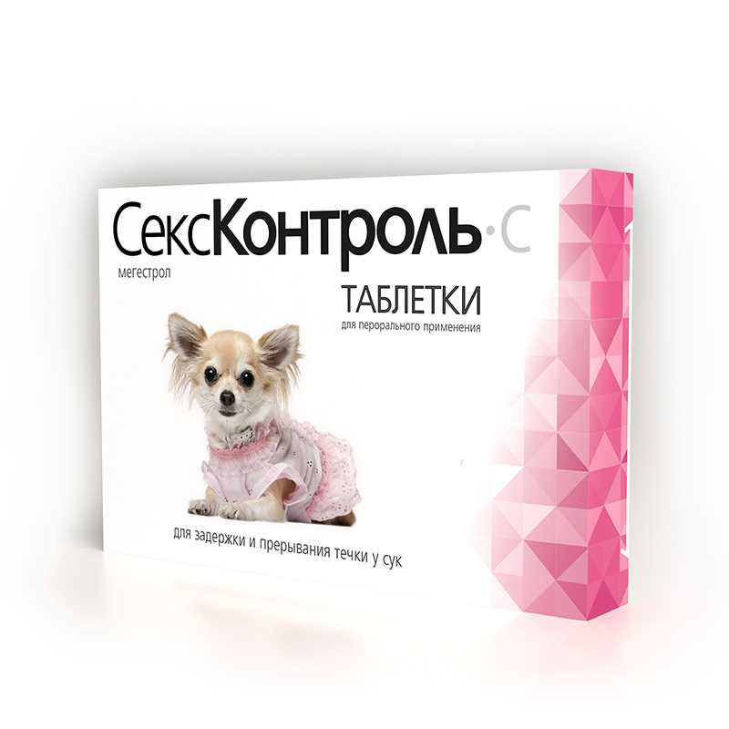 Уколы для кошек вместо стерилизации