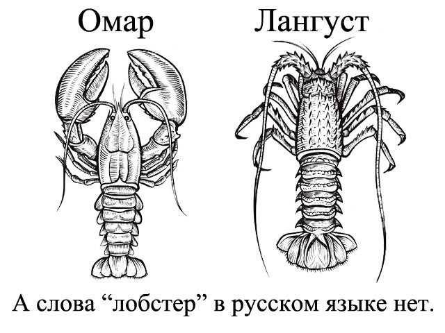 Чем отличается рак от лобстера: описание и отличия. омары