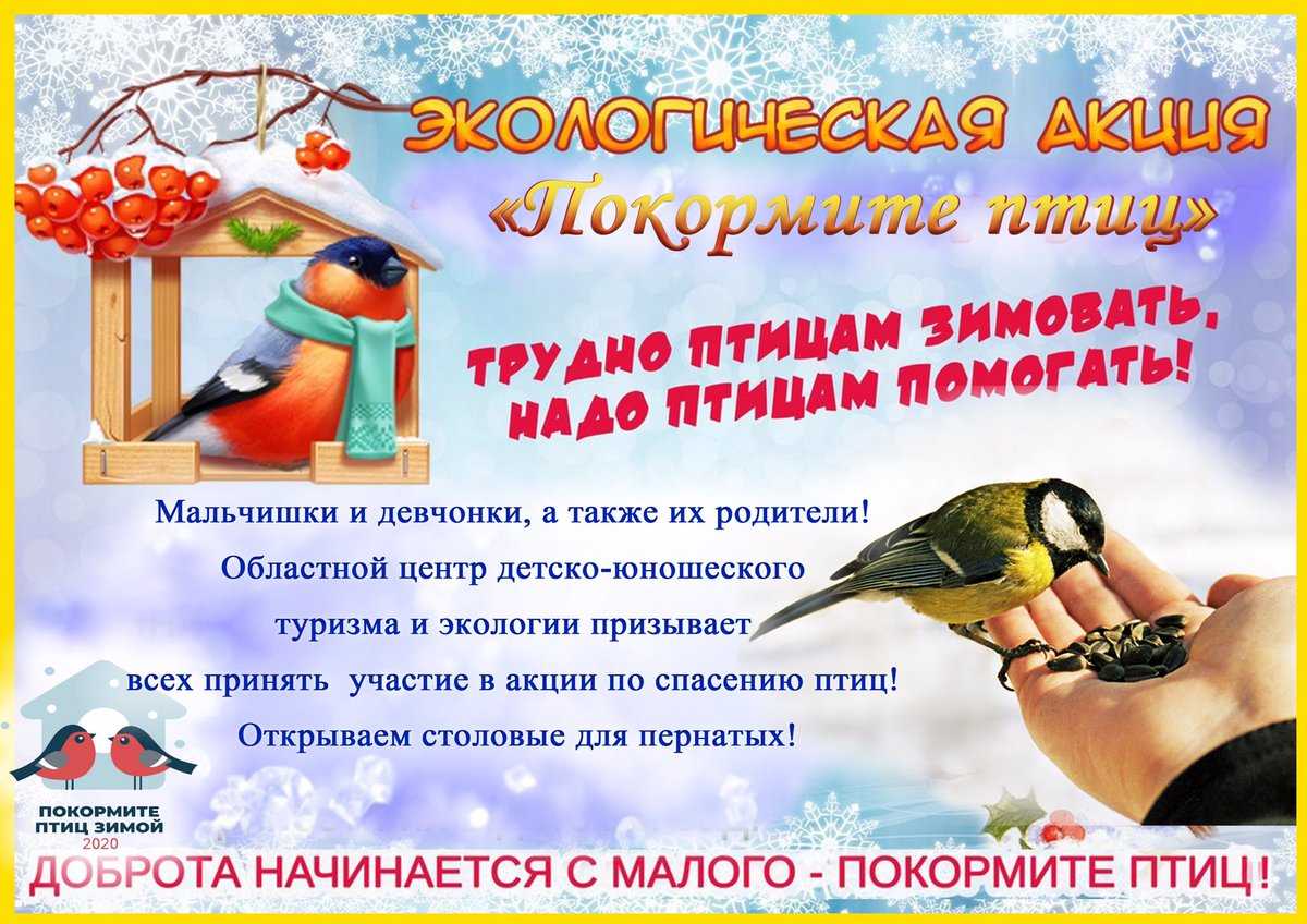 Животный мир ивановской области: встреча с местными обитателями