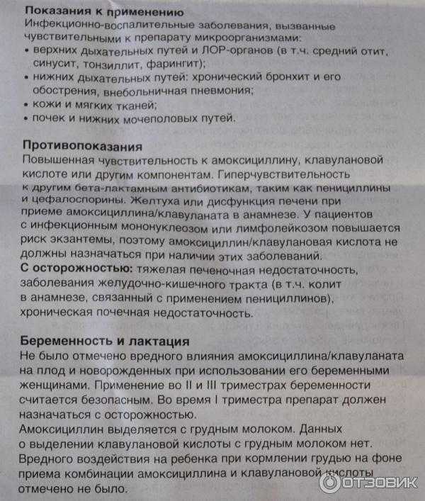 Антибиотики для собак – уколы широкого спектра и специального действия