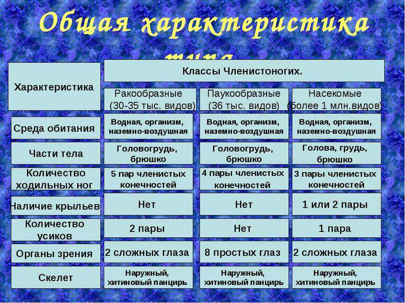 Класс паукообразные членистоногие: биология, строение, признаки, характеристика отрядов