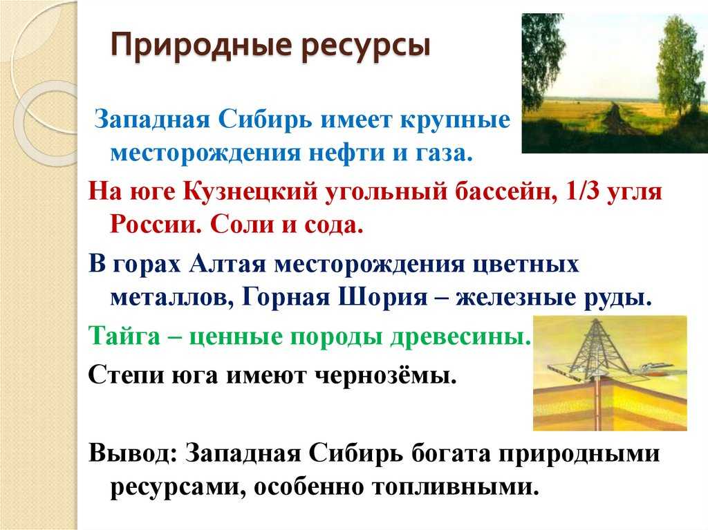 Природные ресурсы и полезные ископаемые западной сибири