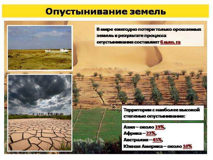 Борьба с опустыниванием земель: проблема и пути решения