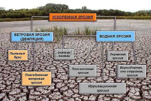 Причины водной эрозии почвы на возвышенностях -
