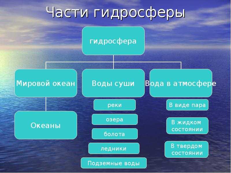 Гидросфера - состав, структура и роль в жизни человека