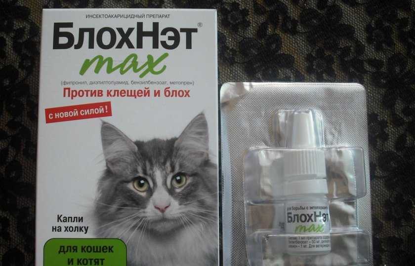 Капли на холку блохнэт для кошек и собак