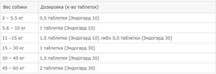 Понос у собаки - что дать, чем лечить диарею у собак, что можно и что нельзя